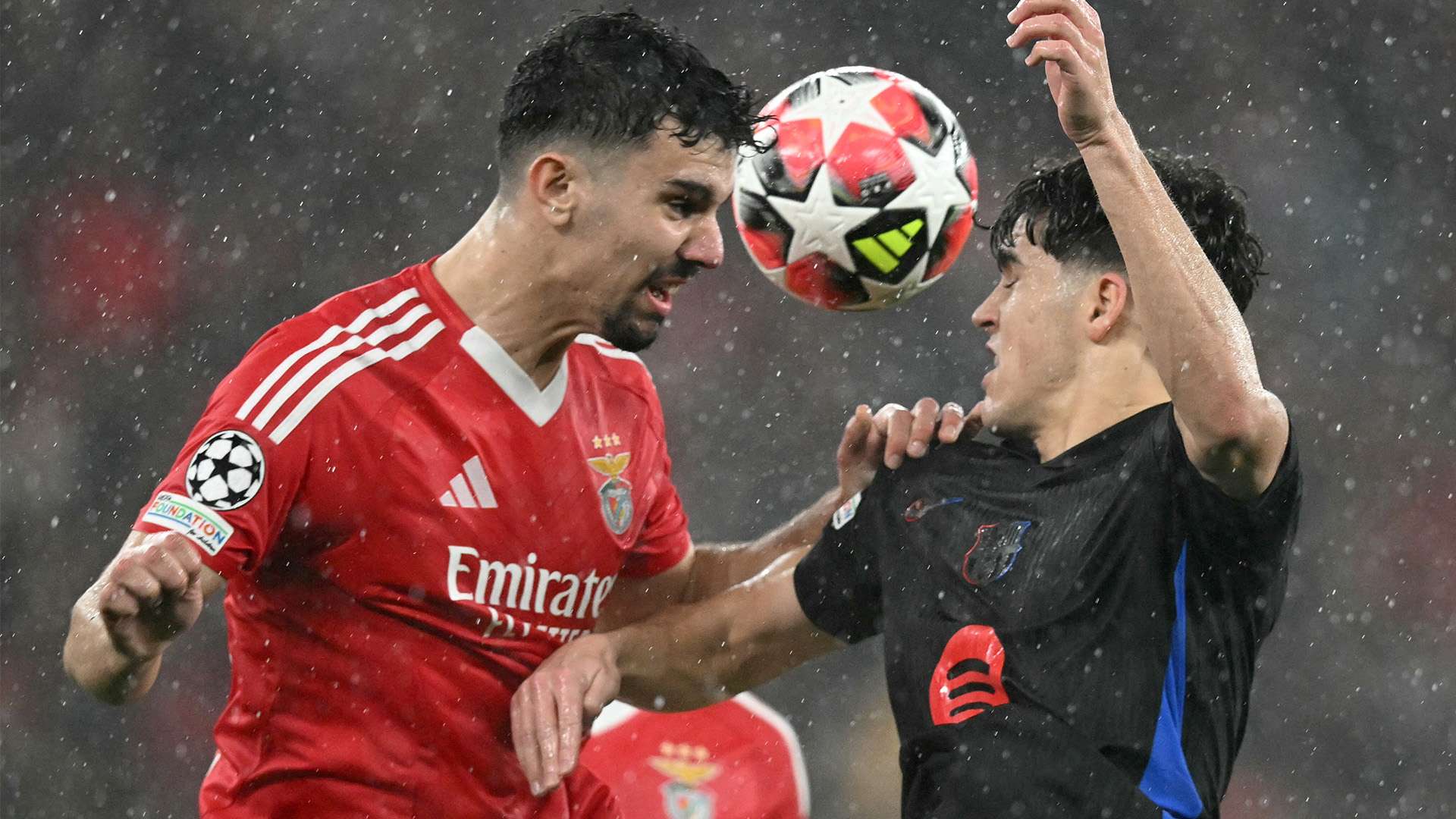 此次提出建 此次提出建